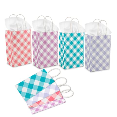 Party Gift bags (24)