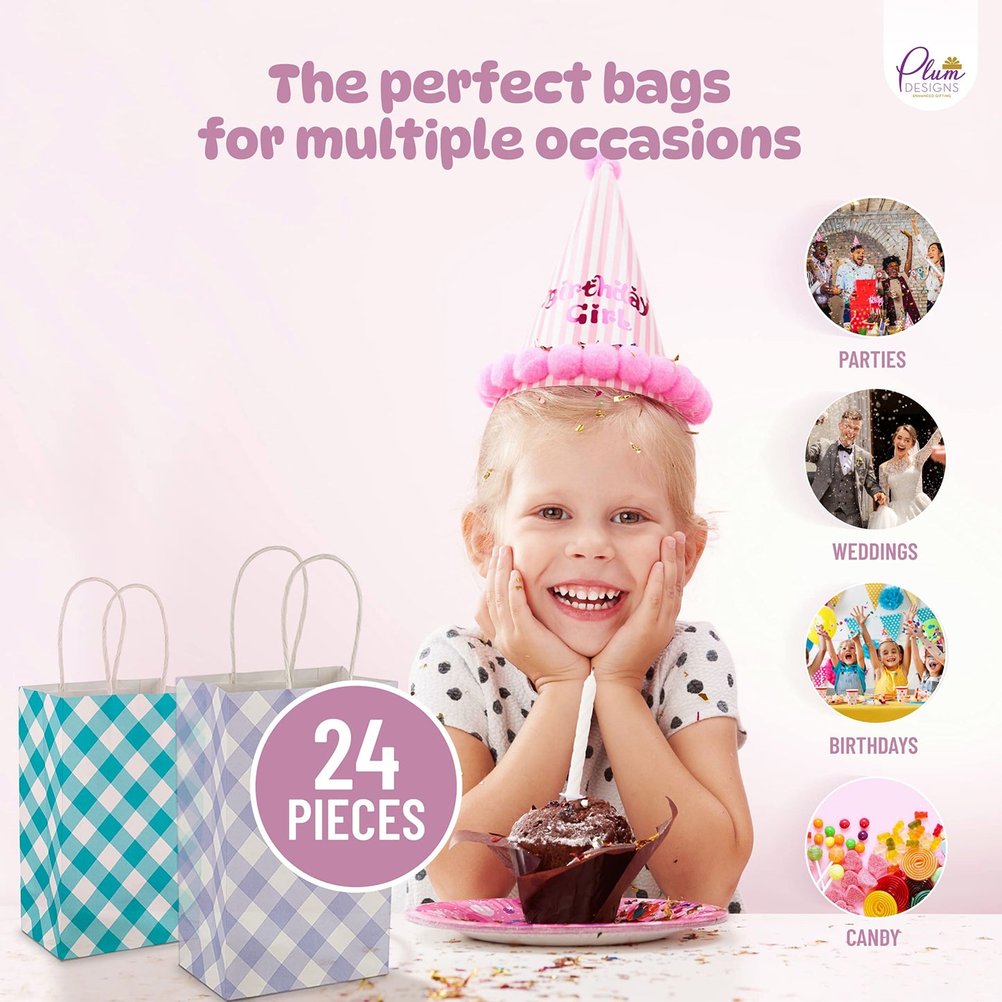 Party Gift bags (24)